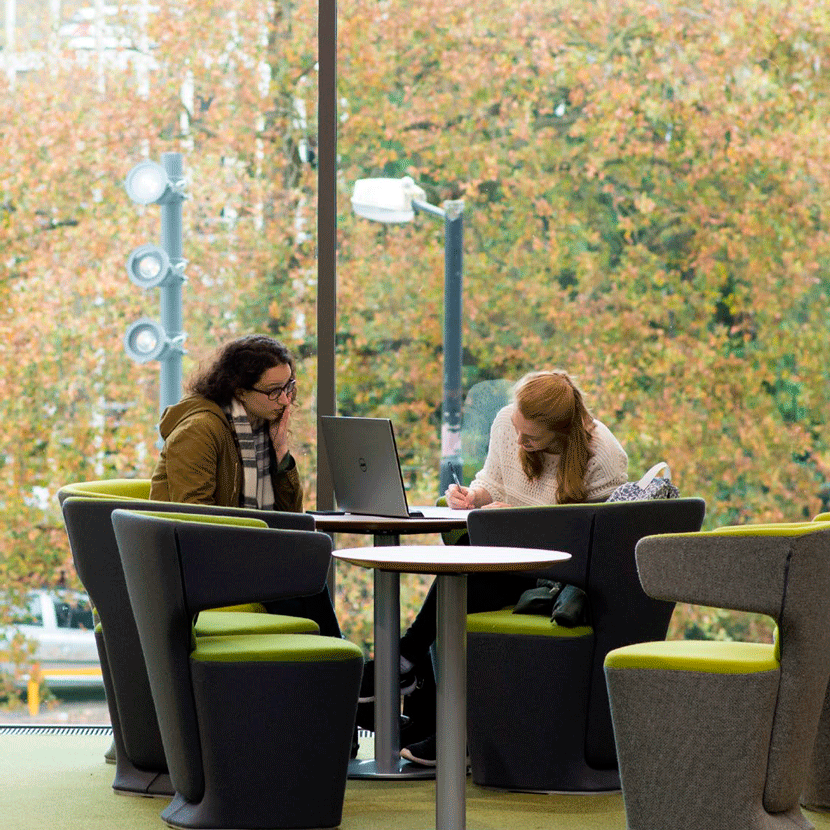 Warwick учебные пространства