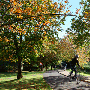 Warwick зеленый кампус