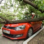 узнать порядок оформления