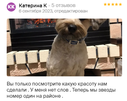 Груминг салон во Владивостоке