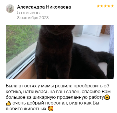 Груминг салон во Владивостоке