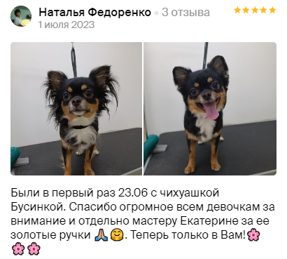 Груминг салон во Владивостоке