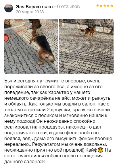 Груминг салон во Владивостоке