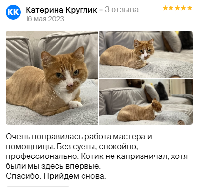 Груминг салон во Владивостоке