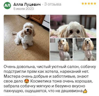 Груминг салон во Владивостоке