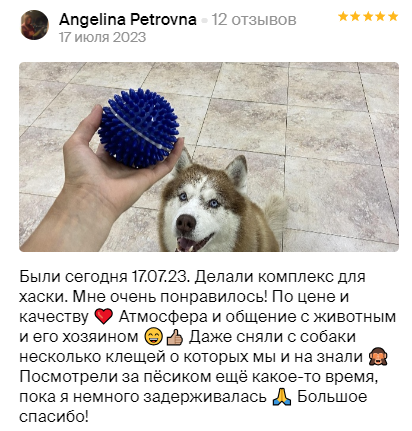 Груминг салон во Владивостоке