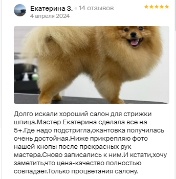 Груминг салон во Владивостоке