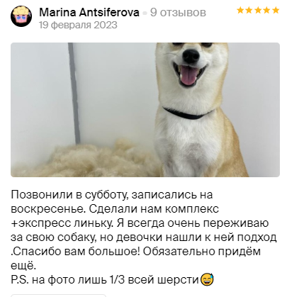 Груминг салон во Владивостоке