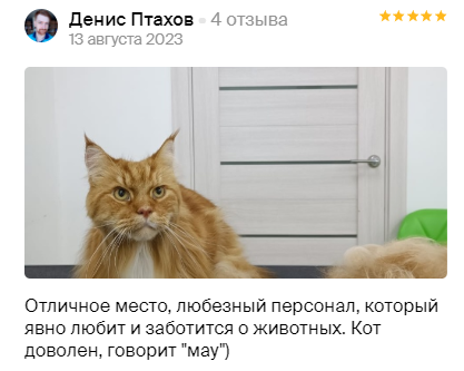 Груминг салон во Владивостоке