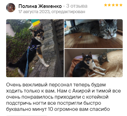 Груминг салон во Владивостоке