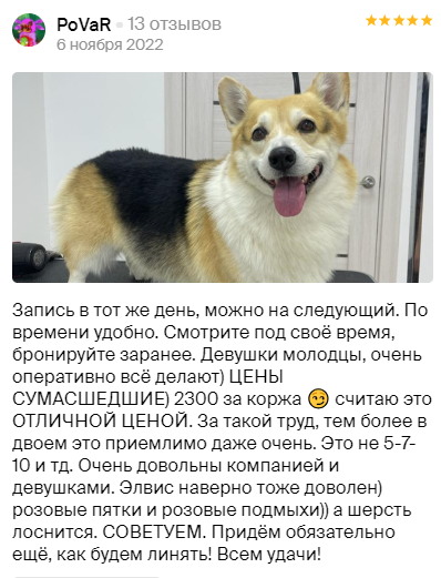 Груминг салон во Владивостоке