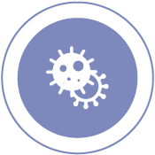 SNIBE POCT Express test SARS-CoV2 Антиген