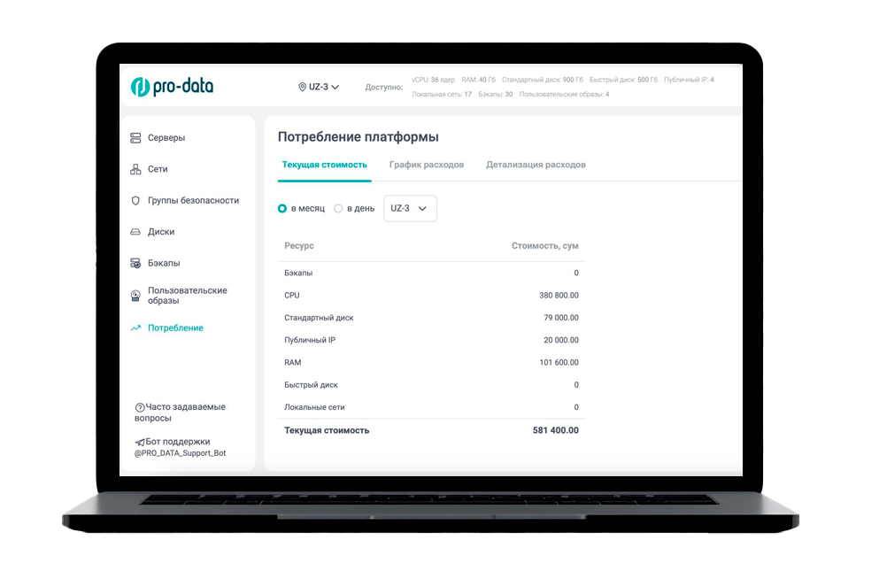 Выделенные серверы и частное облако Pro-Data