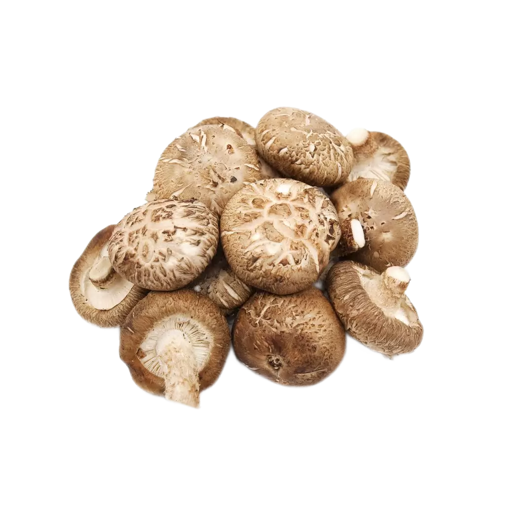 вакуумное охлаждение грибов шиитаке