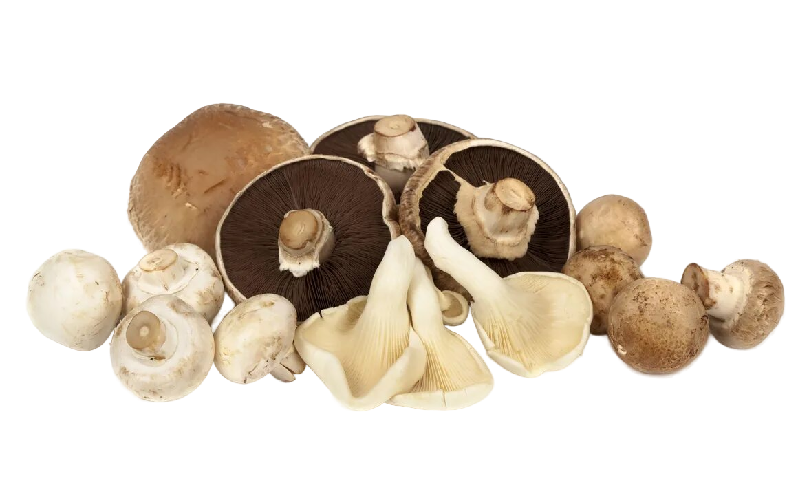 вакуумное охлаждение зелени и салатов