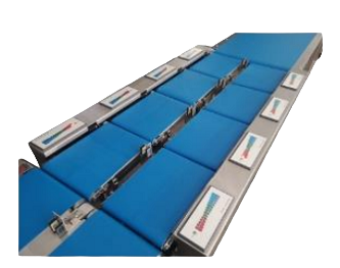 сортировочная машина