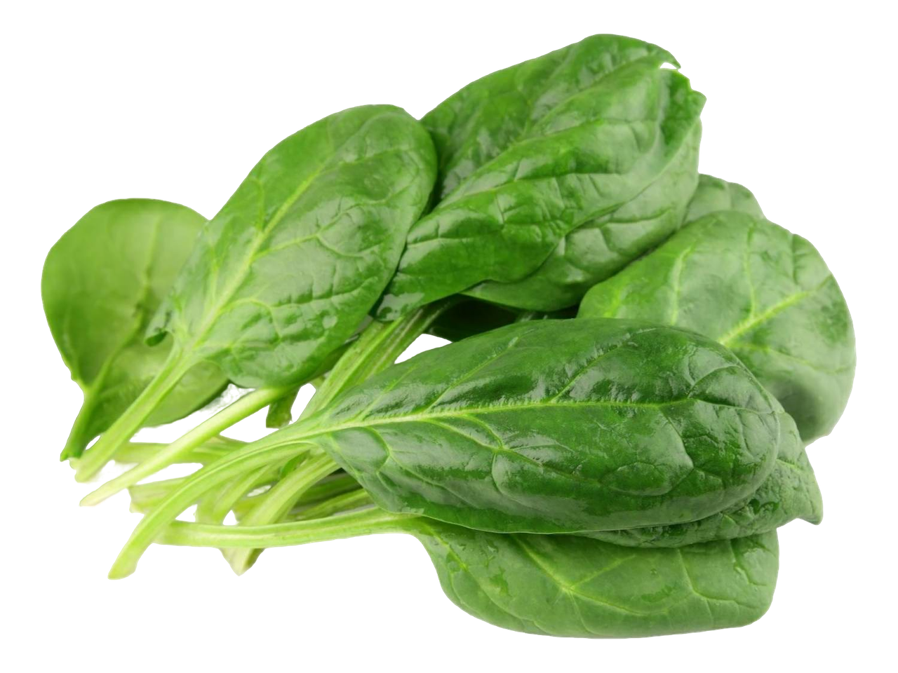 вакуумное охлаждение листовых салатов