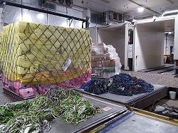 вакуумный охладитель цветов