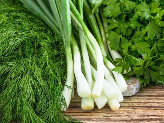 вакуумное охлаждение зелени и салатов