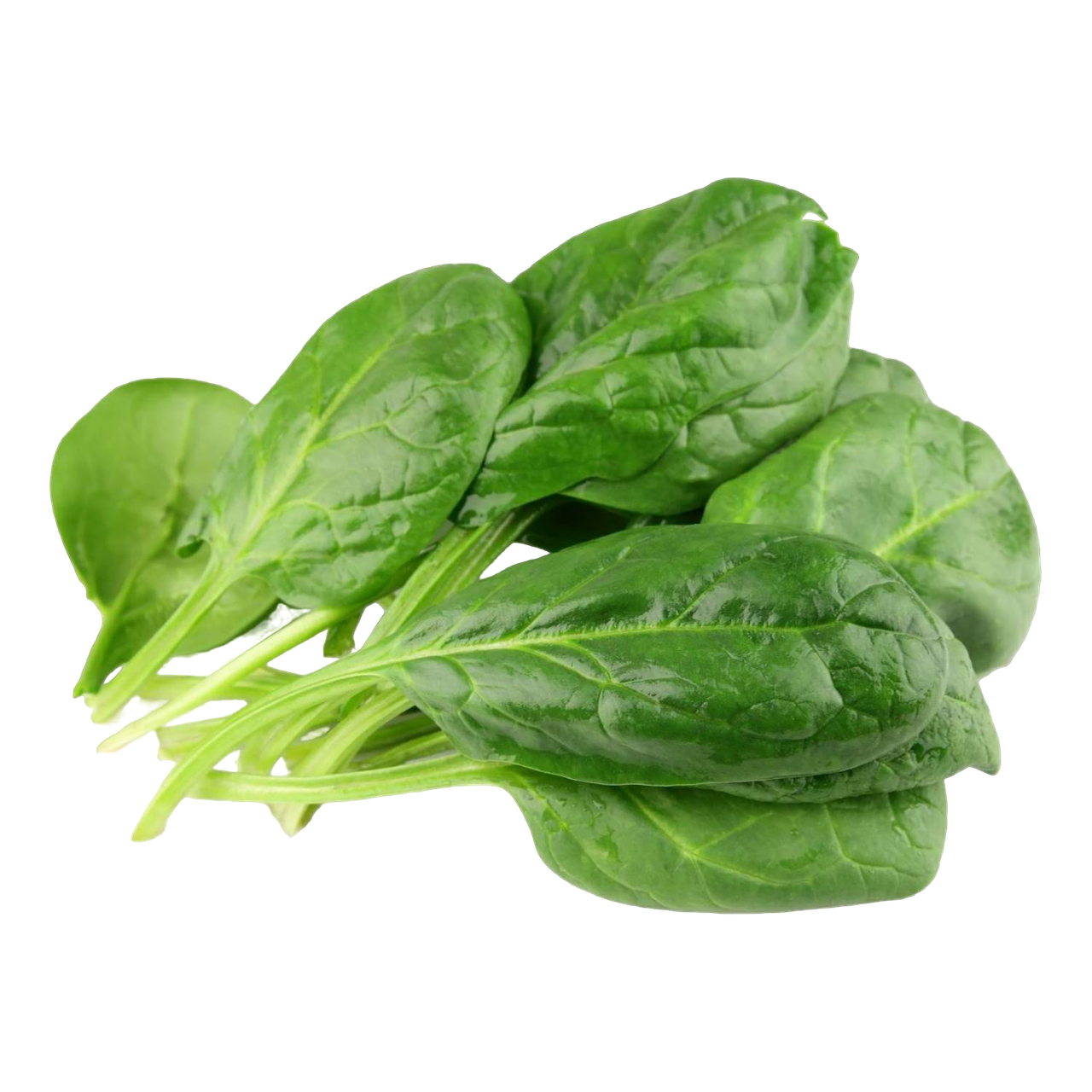 вакуумное охлаждение щавеля и листовых агрокультур 