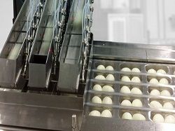 анализатор на фасовке яиц