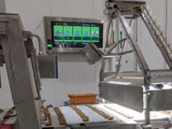 инспекция наггетсов