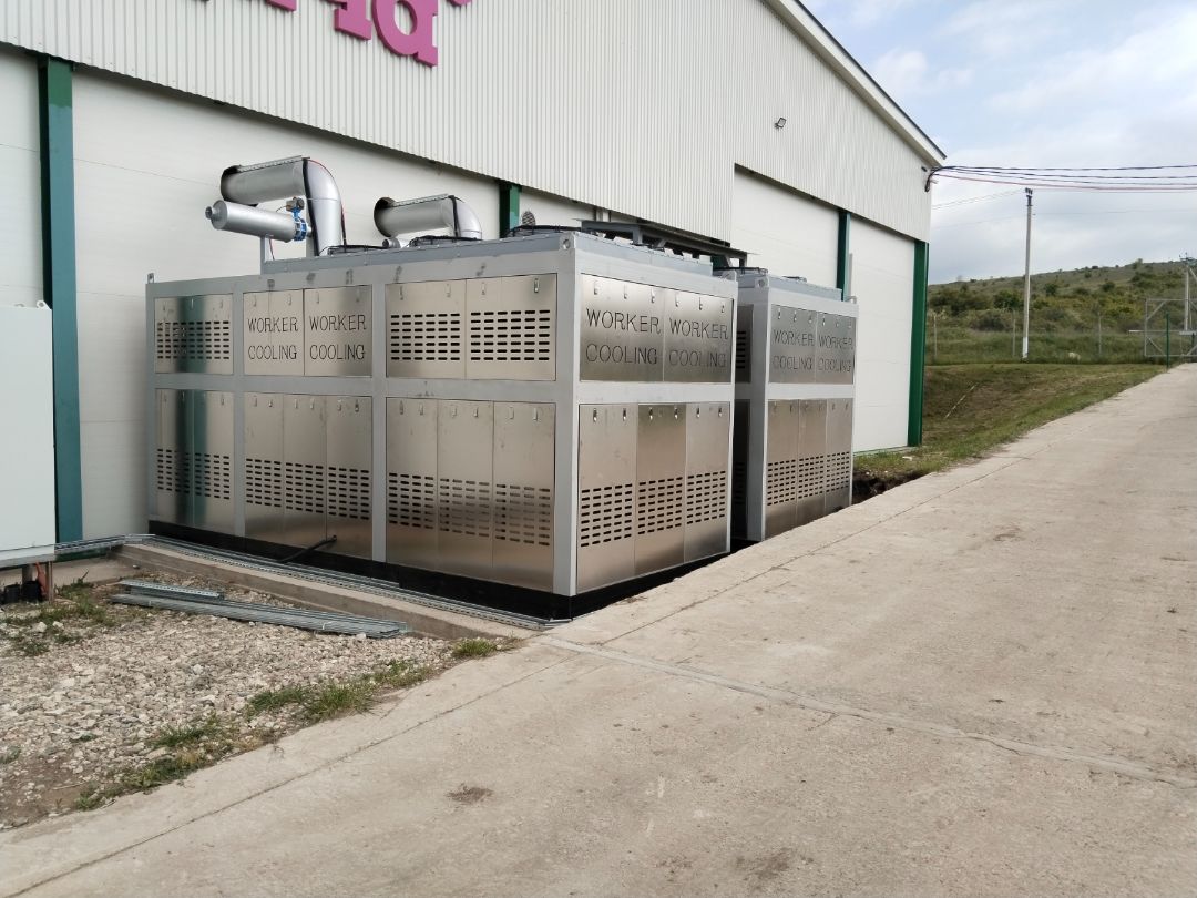 вакуумное охлаждение салата