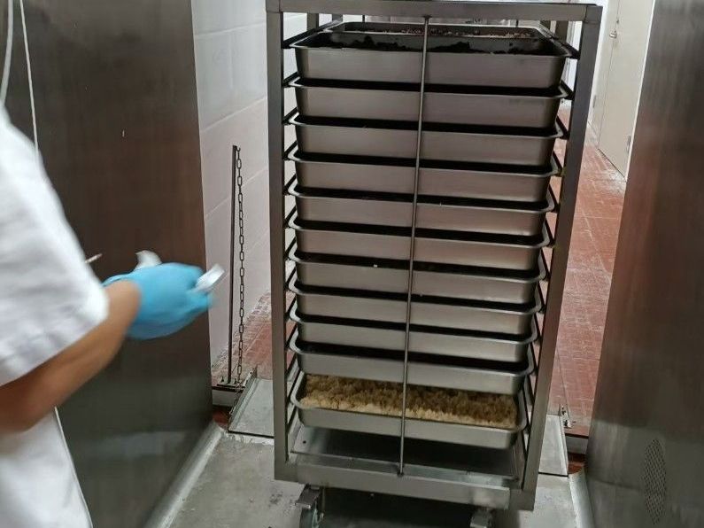 камера вакуумного охлаждения готовых блюд