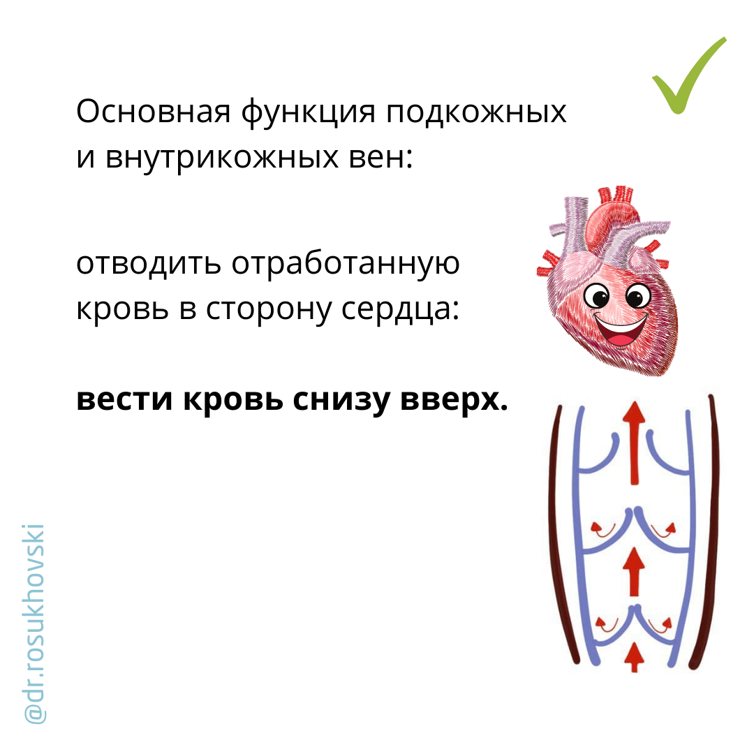 откуда берется варикоз