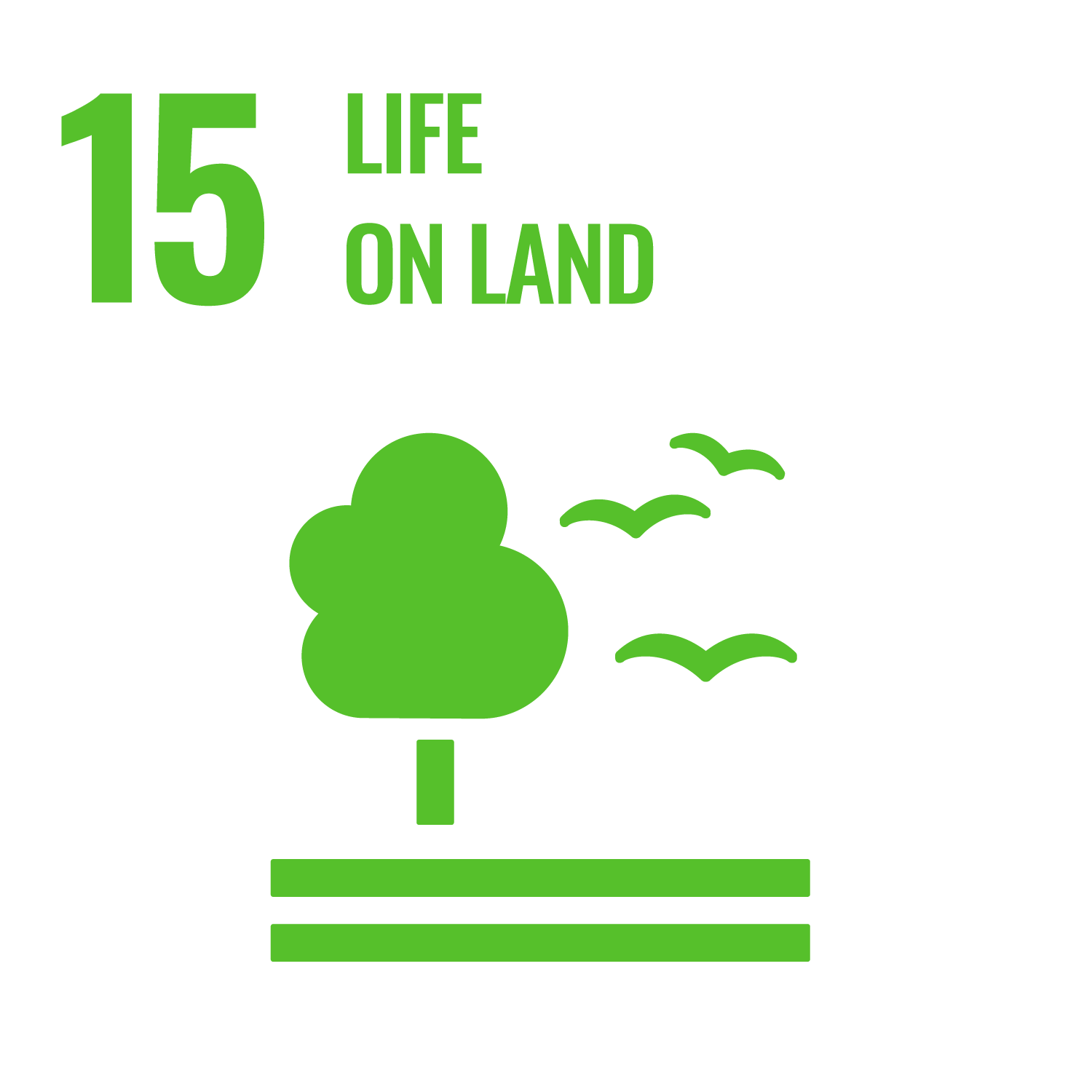 SDG 15 Life On Land