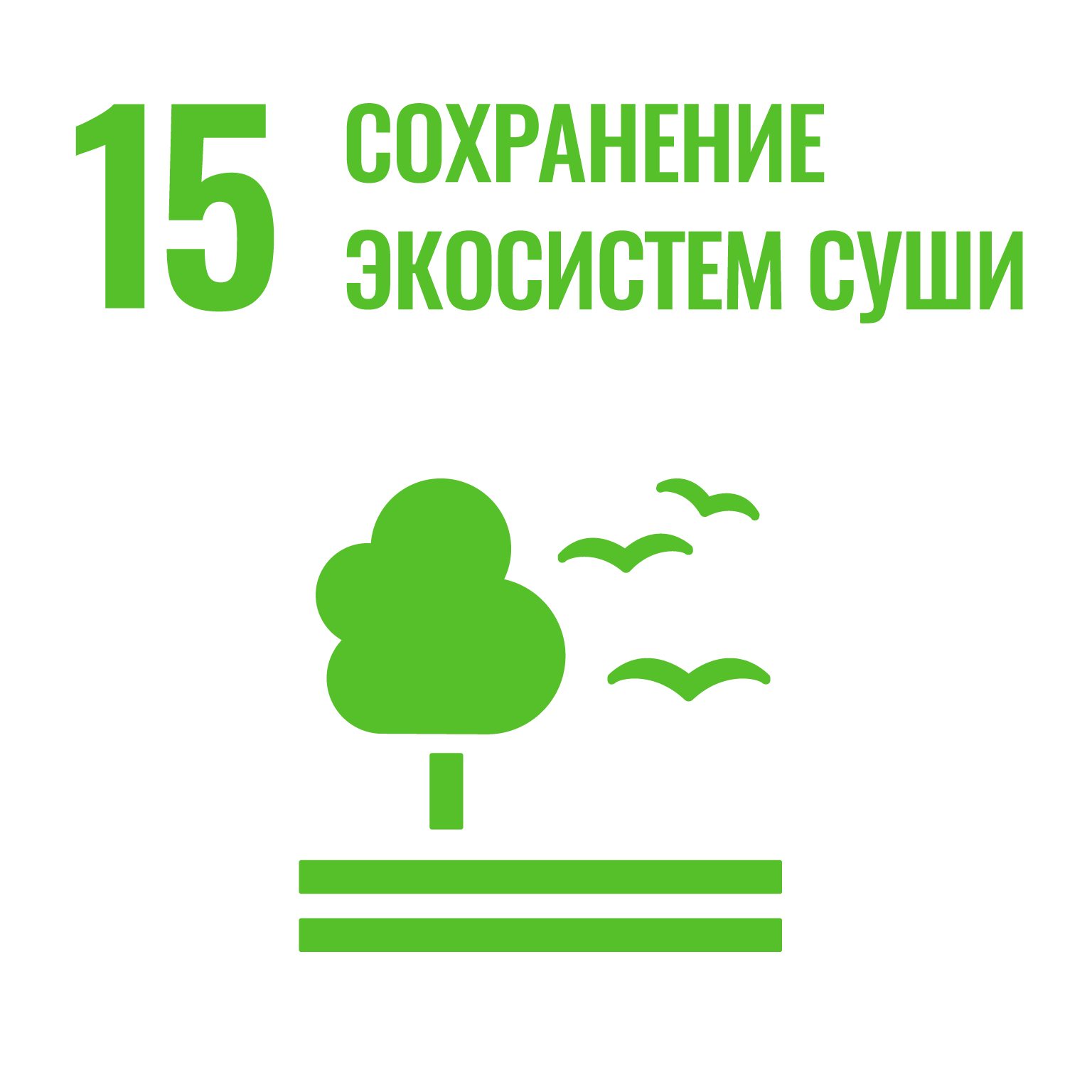 ЦУР 15 Сохранение экосистем суши