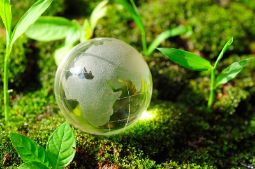 ИСО 14001 Экологический менеджмент