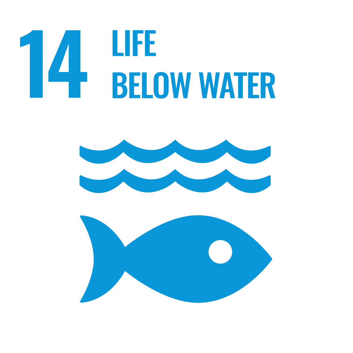 SDG 14 Life Below water