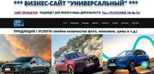 БИЗНЕС-САЙТ-17