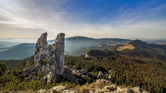 САЙТ В РАЗРАБОТКЕ