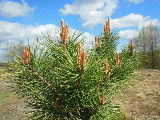 РЕКЛАМНОЕ МЕСТО