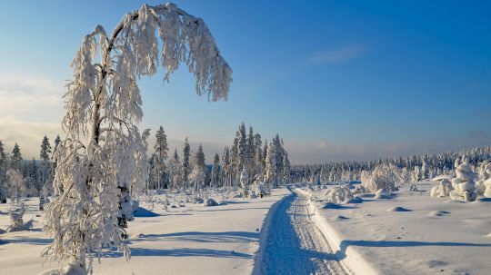 САЙТ В РАЗРАБОТКЕ