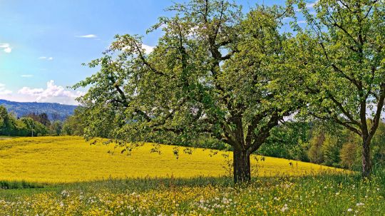 САЙТ В РАЗРАБОТКЕ