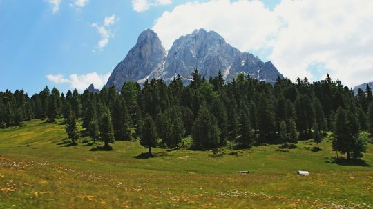 САЙТ В РАЗРАБОТКЕ