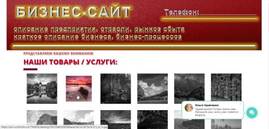 БИЗНЕС-САЙТ-5