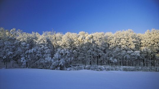 САЙТ В РАЗРАБОТКЕ