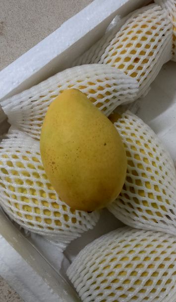 манго хоа лок
