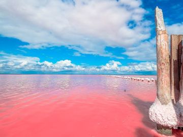 Розовое озеро