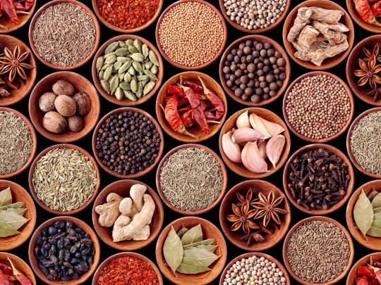 Ричард Льюис. Высшие мыслительные процессы обусловливаются языком