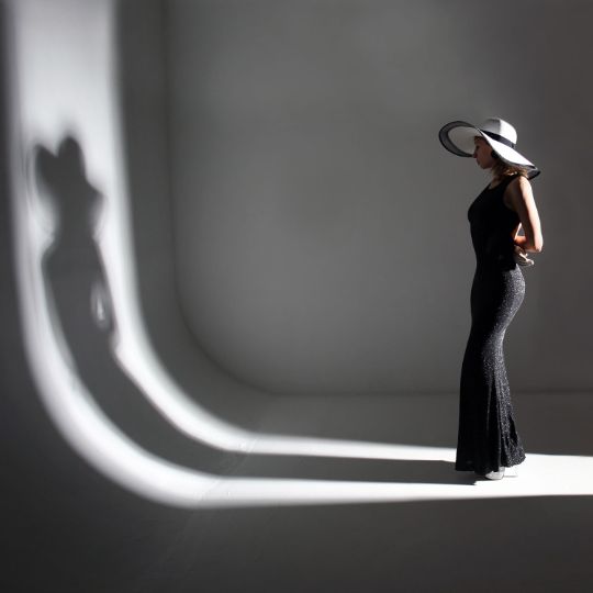 Управление тенью