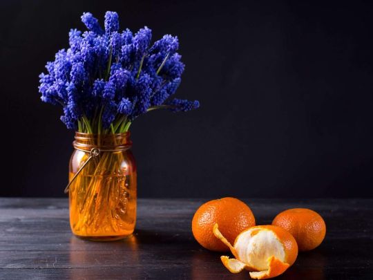 СИЛА КРАСИВЫХ СЛОВ