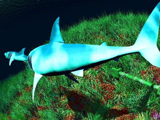 Молчание – золото