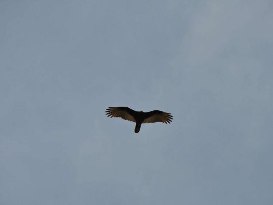 Фокус успешных