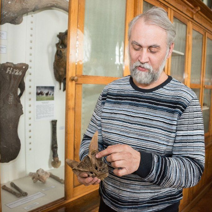 Шпанский Андрей Валерьевич