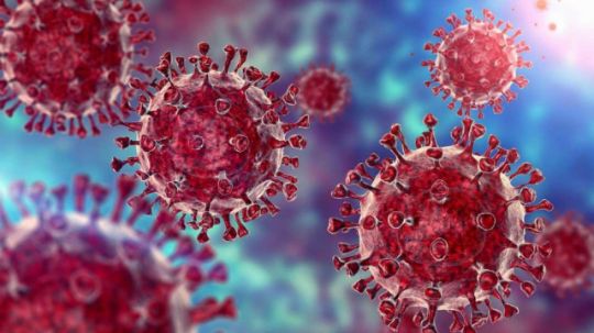 страховка virus insurance